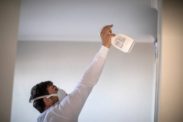 Trusted Burlington, OH Mold Remediation Experts