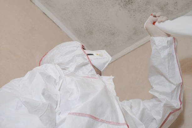 Best Preventive Mold Services in Burlington, OH